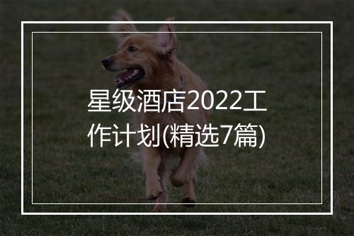 星级酒店2022工作计划(精选7篇)