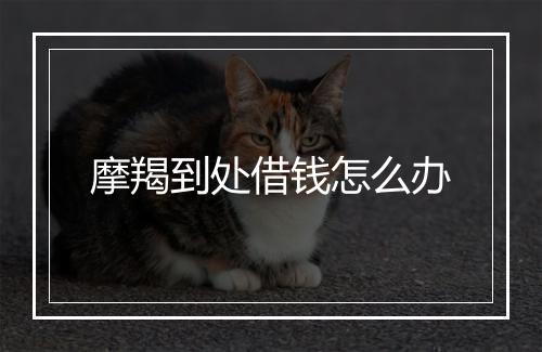 摩羯到处借钱怎么办