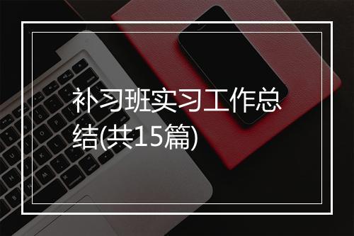 补习班实习工作总结(共15篇)