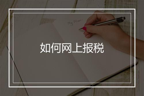 如何网上报税