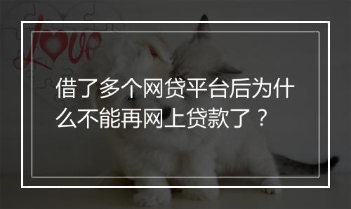 借了多个网贷平台后为什么不能再网上贷款了?