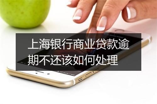 上海银行商业贷款逾期不还该如何处理