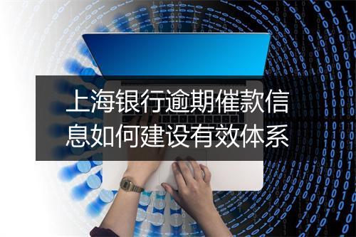 上海银行逾期催款信息如何建设有效体系