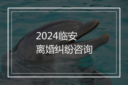 2024临安离婚纠纷咨询