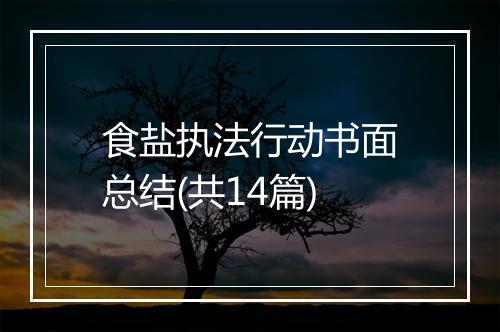 食盐执法行动书面总结(共14篇)