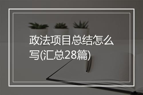 政法项目总结怎么写(汇总28篇)