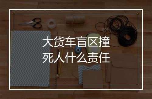 大货车盲区撞死人什么责任