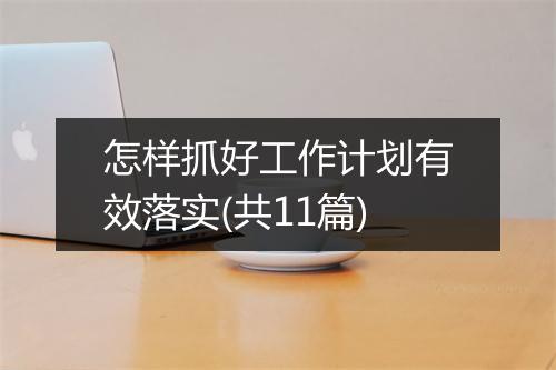 怎样抓好工作计划有效落实(共11篇)