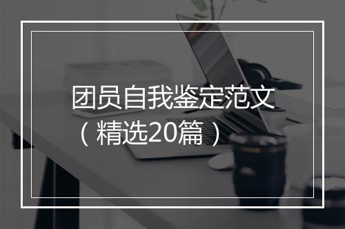 团员自我鉴定范文(精选20篇)