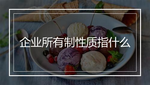 企业所有制性质指什么