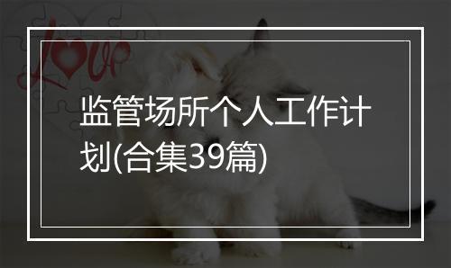 监管场所个人工作计划(合集39篇)