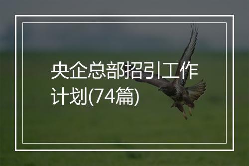 央企总部招引工作计划(74篇)