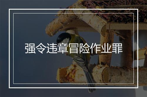 强令违章冒险作业罪