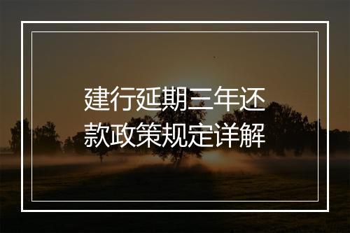 建行延期三年还款政策规定详解