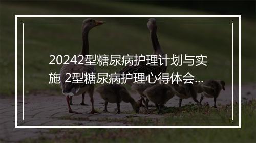 20242型糖尿病护理计划与实施 2型糖尿病护理心得体会甄选10篇