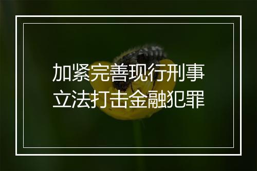 加紧完善现行刑事立法打击金融犯罪