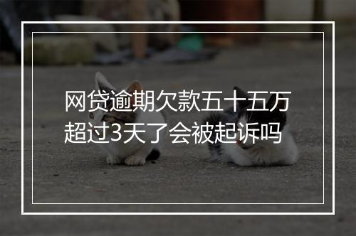 网贷逾期欠款五十五万超过3天了会被起诉吗