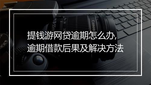 提钱游网贷逾期怎么办,逾期借款后果及解决方法