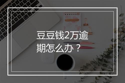 豆豆钱2万逾期怎么办?