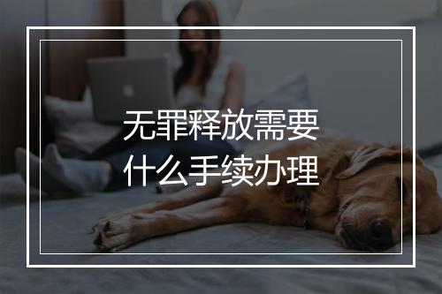 无罪释放需要什么手续办理