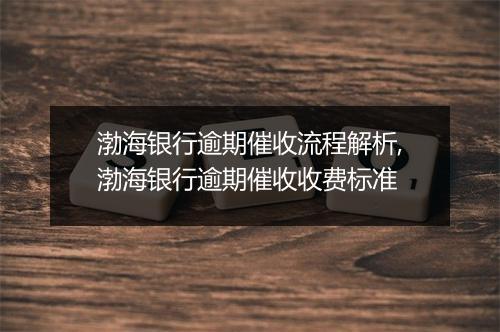 渤海银行逾期催收流程解析,渤海银行逾期催收收费标准