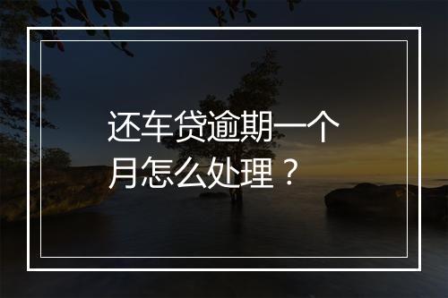 还车贷逾期一个月怎么处理?