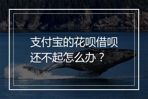 支付宝的花呗借呗还不起怎么办?