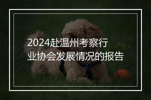 2024赴温州考察行业协会发展情况的报告