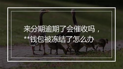 来分期逾期了会催收吗,**钱包被冻结了怎么办