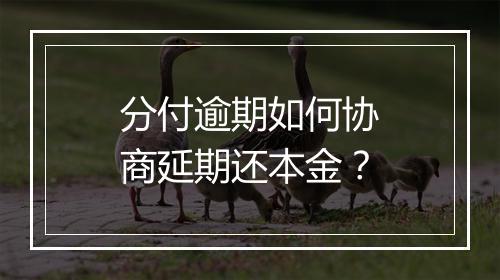分付逾期如何协商延期还本金?