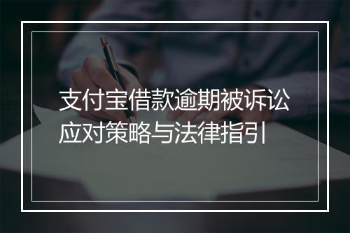 支付宝借款逾期被诉讼应对策略与法律指引