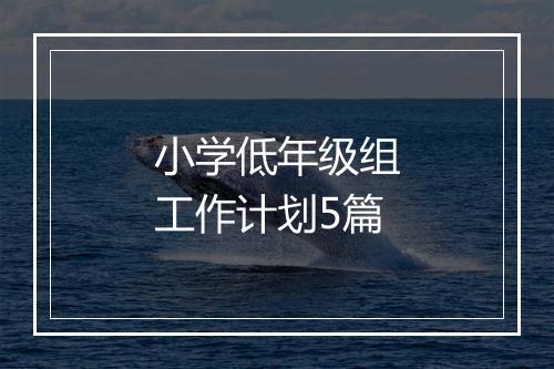 小学低年级组工作计划5篇