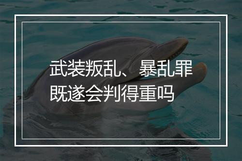 武装叛乱、暴乱罪既遂会判得重吗