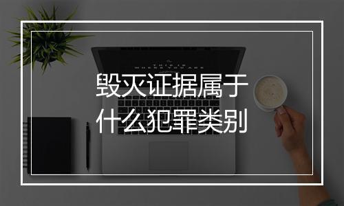 毁灭证据属于什么犯罪类别