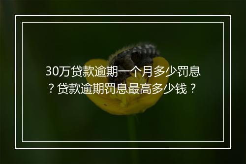 30万贷款逾期一个月多少罚息?贷款逾期罚息最高多少钱?