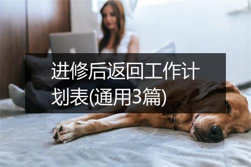 进修后返回工作计划表(通用3篇)