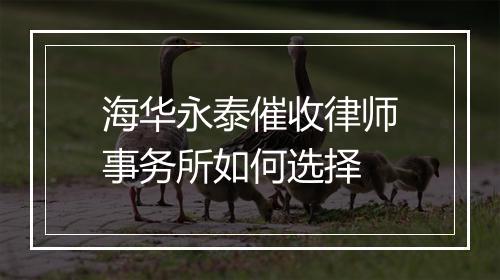 海华永泰催收律师事务所如何选择