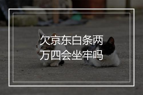 欠京东白条两万四会坐牢吗