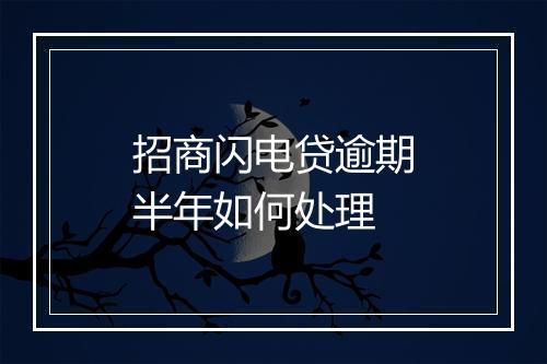 招商闪电贷逾期半年如何处理