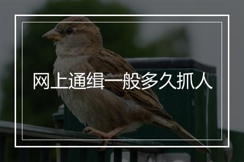 网上通缉一般多久抓人