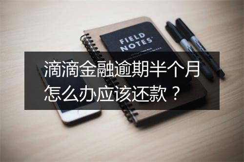 滴滴金融逾期半个月怎么办应该还款?