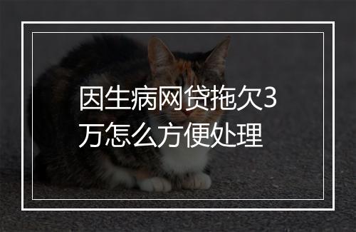 因生病网贷拖欠3万怎么方便处理
