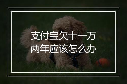 支付宝欠十一万两年应该怎么办