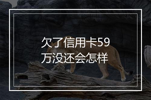 欠了信用卡59万没还会怎样