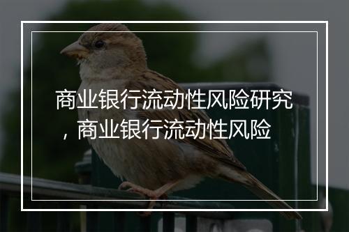 商业银行流动性风险研究,商业银行流动性风险