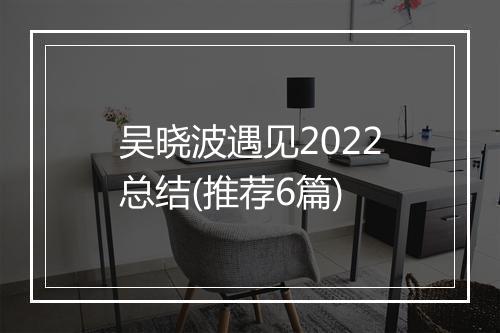 吴晓波遇见2022总结(推荐6篇)