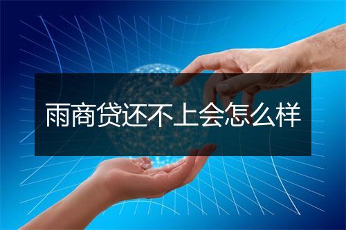 雨商贷还不上会怎么样