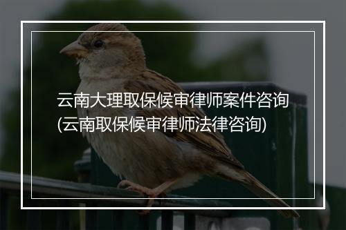 云南大理取保候审律师案件咨询(云南取保候审律师法律咨询)