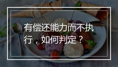 有偿还能力而不执行,如何判定?