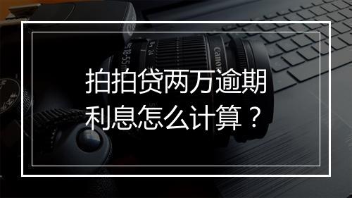拍拍贷两万逾期利息怎么计算?